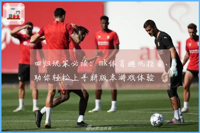 回归玩家必读：mk体育避坑指南，助你轻松上手新版本游戏体验